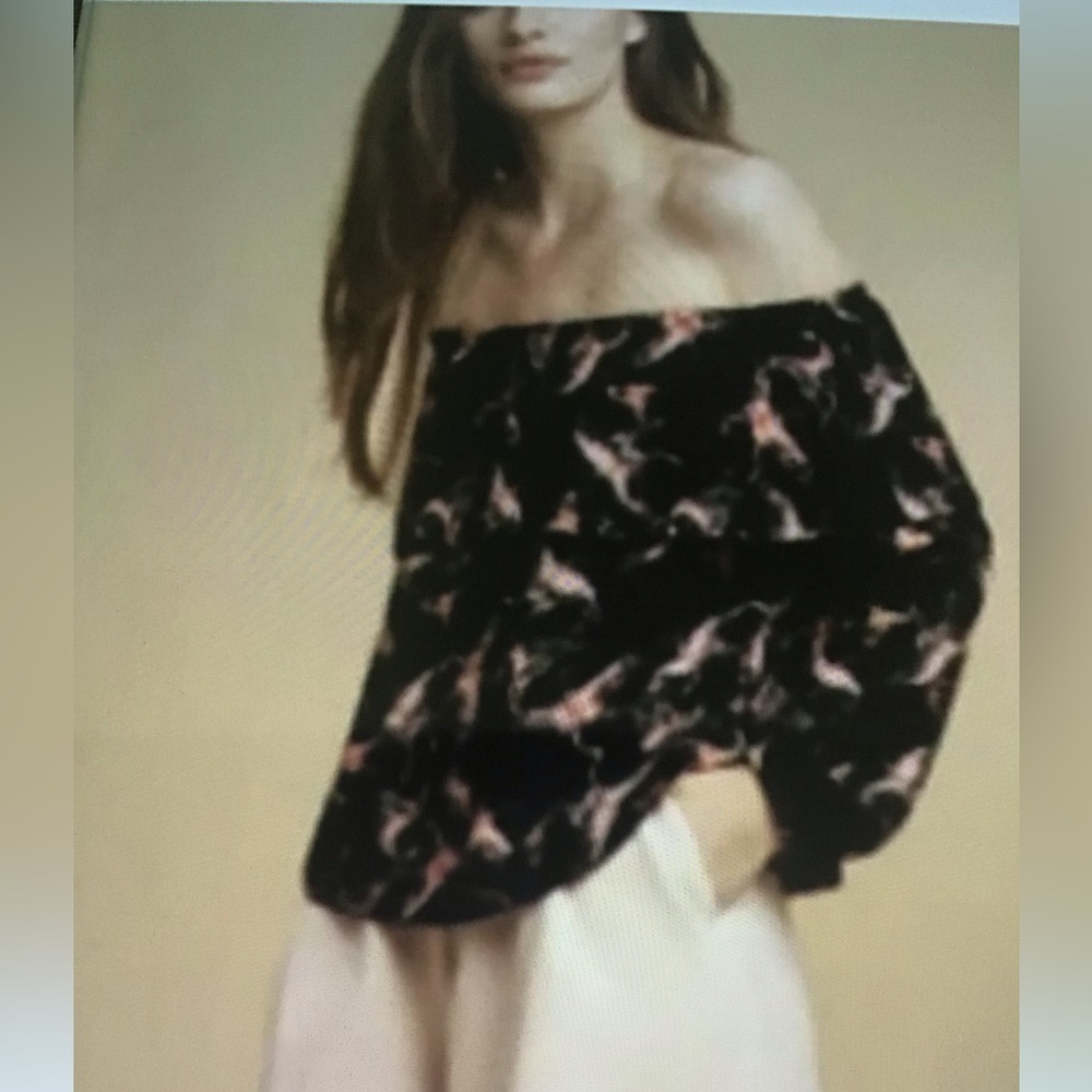 Wilfred Aritzia Morel Butterfly Offshoulder Peasant Top In Medium